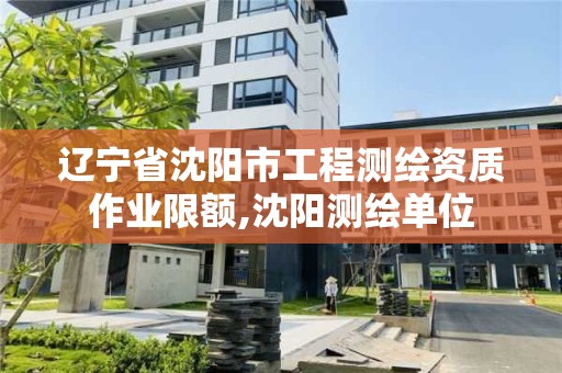 遼寧省沈陽市工程測繪資質作業限額,沈陽測繪單位