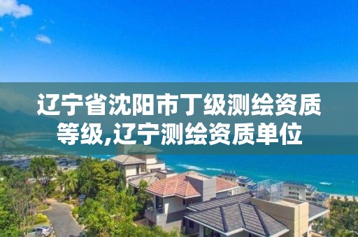 遼寧省沈陽市丁級測繪資質等級,遼寧測繪資質單位