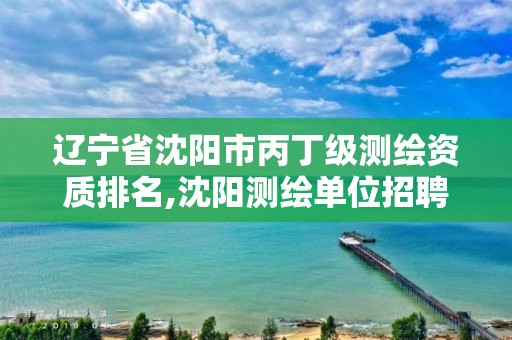 遼寧省沈陽市丙丁級測繪資質(zhì)排名,沈陽測繪單位招聘