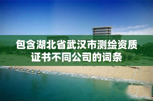 包含湖北省武漢市測繪資質證書不同公司的詞條