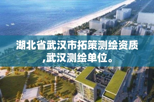 湖北省武漢市拓策測繪資質,武漢測繪單位。