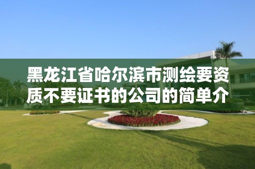 黑龍江省哈爾濱市測繪要資質不要證書的公司的簡單介紹