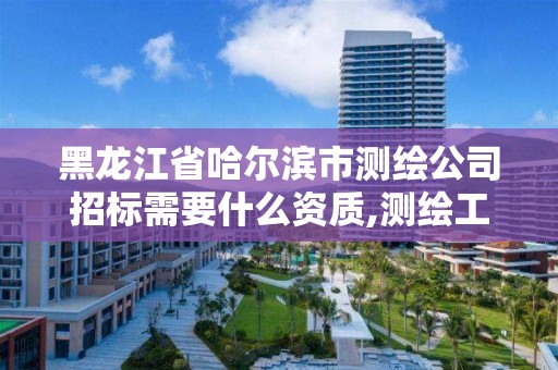 黑龍江省哈爾濱市測(cè)繪公司招標(biāo)需要什么資質(zhì),測(cè)繪工程招標(biāo)公告。