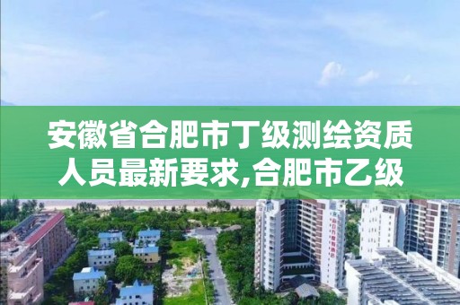 安徽省合肥市丁級測繪資質(zhì)人員最新要求,合肥市乙級測繪公司。