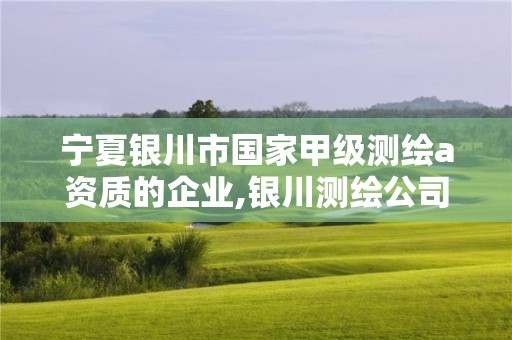 寧夏銀川市國家甲級測繪a資質(zhì)的企業(yè),銀川測繪公司招聘信息。