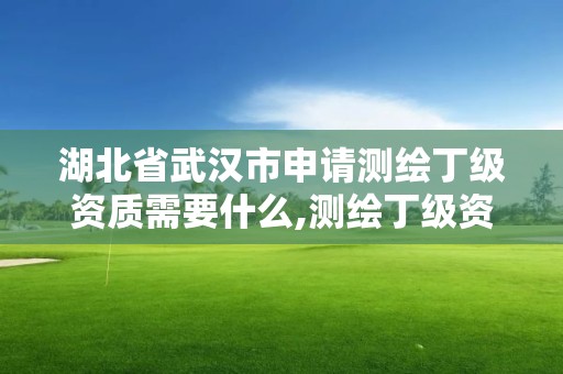 湖北省武漢市申請測繪丁級資質需要什么,測繪丁級資質全套申請文件。