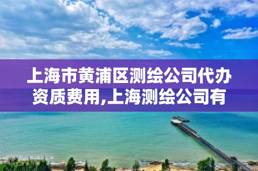 上海市黃浦區(qū)測繪公司代辦資質(zhì)費用,上海測繪公司有哪幾家