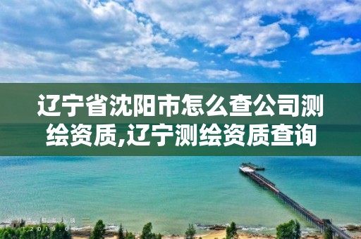 遼寧省沈陽市怎么查公司測繪資質,遼寧測繪資質查詢