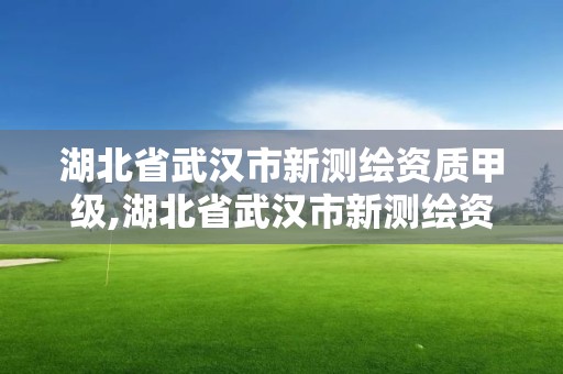 湖北省武漢市新測(cè)繪資質(zhì)甲級(jí),湖北省武漢市新測(cè)繪資質(zhì)甲級(jí)公司名單