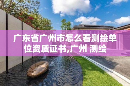 廣東省廣州市怎么看測繪單位資質證書,廣州 測繪