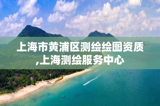 上海市黃浦區測繪繪圖資質,上海測繪服務中心