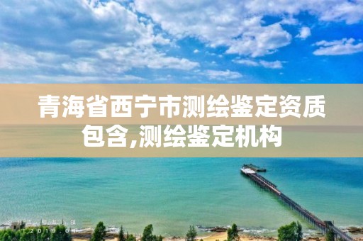 青海省西寧市測繪鑒定資質包含,測繪鑒定機構