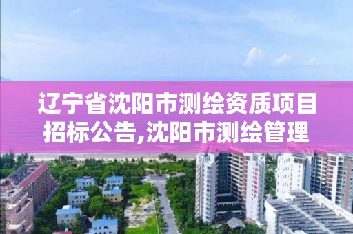 遼寧省沈陽市測繪資質項目招標公告,沈陽市測繪管理辦公室