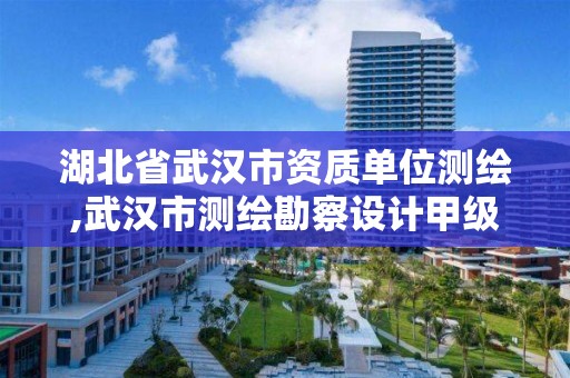 湖北省武漢市資質單位測繪,武漢市測繪勘察設計甲級資質公司