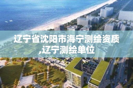 遼寧省沈陽市海寧測繪資質,遼寧測繪單位