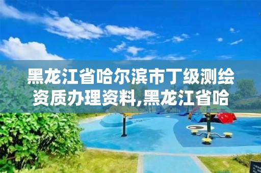 黑龍江省哈爾濱市丁級測繪資質(zhì)辦理資料,黑龍江省哈爾濱市測繪局