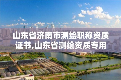 山東省濟南市測繪職稱資質證書,山東省測繪資質專用章圖片。