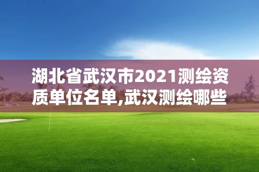 湖北省武漢市2021測繪資質單位名單,武漢測繪哪些單位比較好。