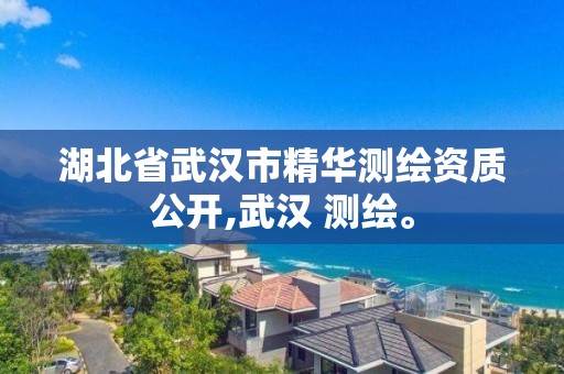 湖北省武漢市精華測繪資質公開,武漢 測繪。