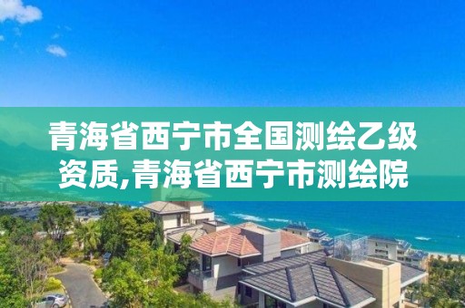 青海省西寧市全國測繪乙級資質,青海省西寧市測繪院