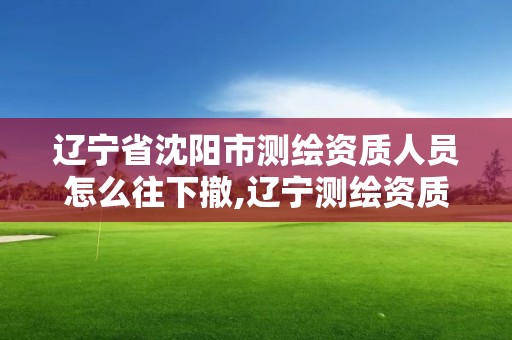 遼寧省沈陽市測繪資質人員怎么往下撤,遼寧測繪資質單位