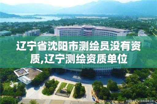 遼寧省沈陽市測繪員沒有資質,遼寧測繪資質單位