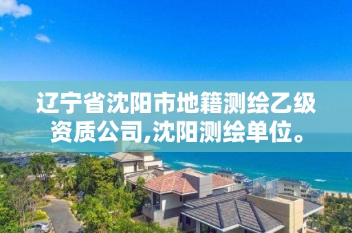 遼寧省沈陽市地籍測繪乙級資質公司,沈陽測繪單位。