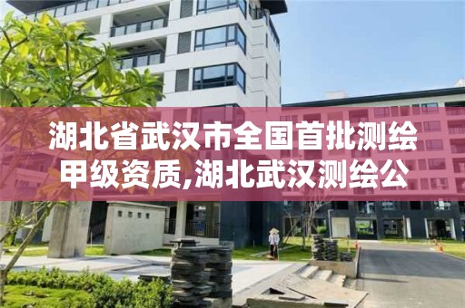 湖北省武漢市全國首批測繪甲級資質,湖北武漢測繪公司排行榜