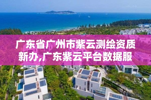 廣東省廣州市紫云測繪資質新辦,廣東紫云平臺數據服務有限公司官網