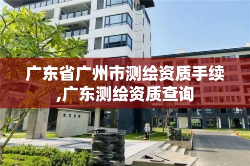 廣東省廣州市測繪資質手續,廣東測繪資質查詢