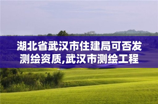 湖北省武漢市住建局可否發(fā)測繪資質(zhì),武漢市測繪工程技術(shù)規(guī)定。