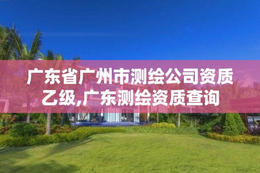 廣東省廣州市測繪公司資質(zhì)乙級,廣東測繪資質(zhì)查詢