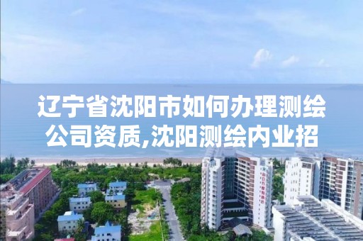 遼寧省沈陽市如何辦理測繪公司資質,沈陽測繪內業招聘信息