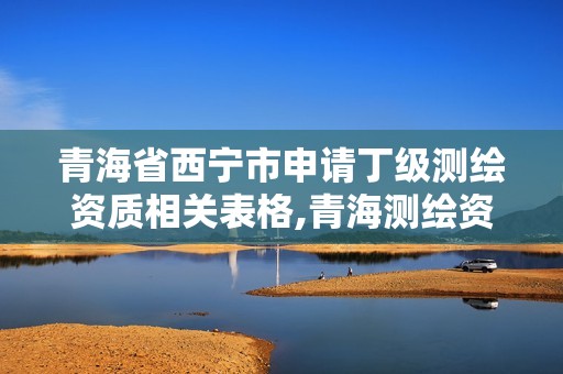 青海省西寧市申請丁級測繪資質相關表格,青海測繪資質辦理