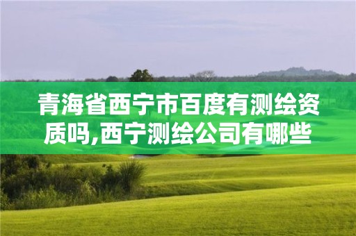 青海省西寧市百度有測繪資質嗎,西寧測繪公司有哪些。