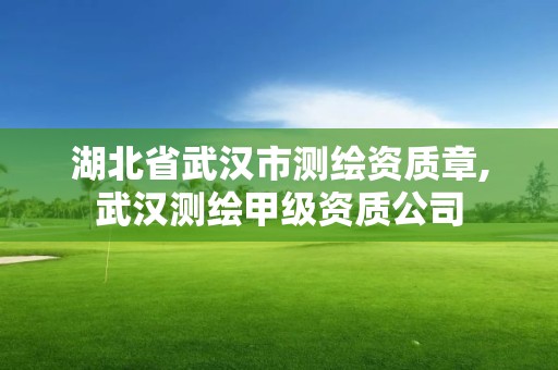 湖北省武漢市測繪資質章,武漢測繪甲級資質公司