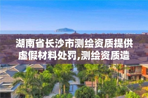 湖南省長沙市測繪資質提供虛假材料處罰,測繪資質造假在哪里舉報