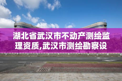 湖北省武漢市不動產測繪監(jiān)理資質,武漢市測繪勘察設計甲級資質公司