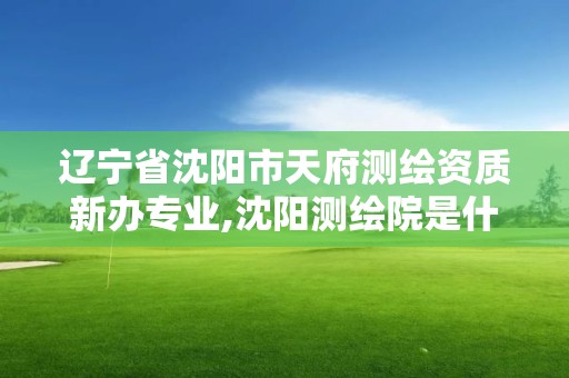 遼寧省沈陽市天府測繪資質新辦專業,沈陽測繪院是什么單位