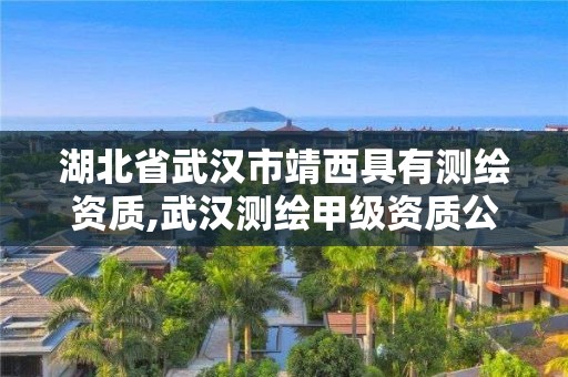 湖北省武漢市靖西具有測繪資質(zhì),武漢測繪甲級資質(zhì)公司