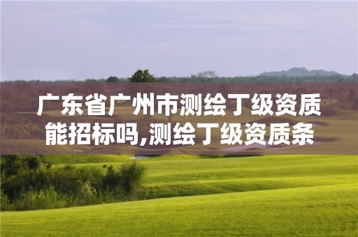 廣東省廣州市測繪丁級資質能招標嗎,測繪丁級資質條件