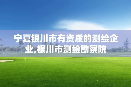 寧夏銀川市有資質的測繪企業(yè),銀川市測繪勘察院