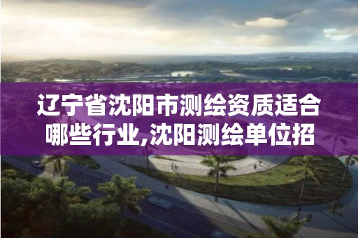 遼寧省沈陽市測繪資質適合哪些行業,沈陽測繪單位招聘