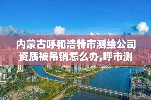 內蒙古呼和浩特市測繪公司資質被吊銷怎么辦,呼市測繪單位