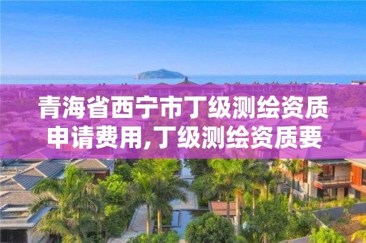 青海省西寧市丁級測繪資質申請費用,丁級測繪資質要求。