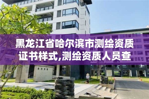 黑龍江省哈爾濱市測繪資質證書樣式,測繪資質人員查詢系統