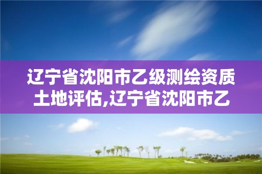 遼寧省沈陽市乙級測繪資質土地評估,遼寧省沈陽市乙級測繪資質土地評估機構