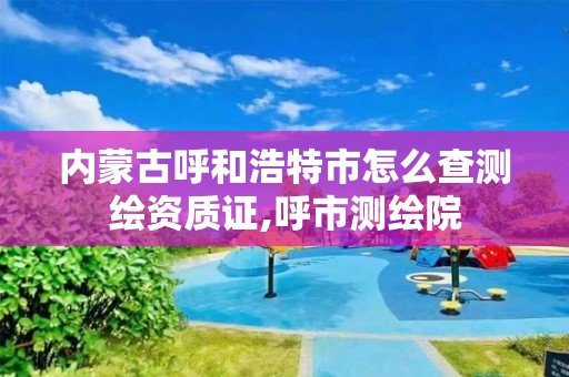 內蒙古呼和浩特市怎么查測繪資質證,呼市測繪院