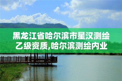 黑龍江省哈爾濱市星漢測繪乙級資質,哈爾濱測繪內業招聘信息