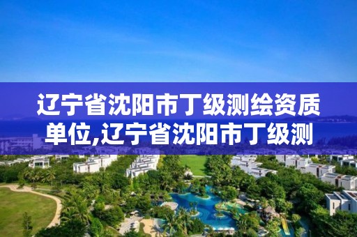 遼寧省沈陽市丁級測繪資質單位,遼寧省沈陽市丁級測繪資質單位名單